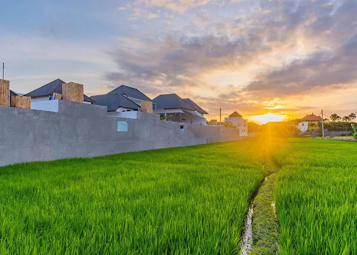Hedonia Luxury Villas